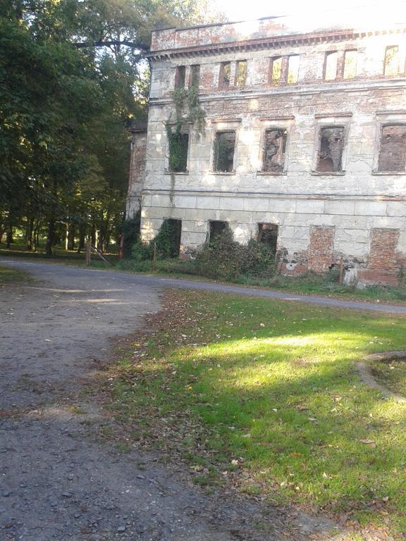 Gosciniec Sloneczny Hotel Drzonków Eksteriør billede