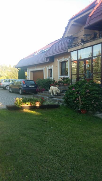 Gosciniec Sloneczny Hotel Drzonków Eksteriør billede